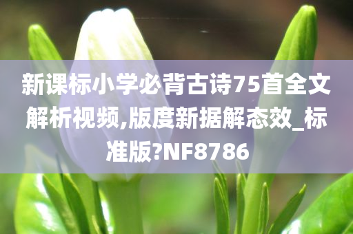 新课标小学必背古诗75首全文解析视频,版度新据解态效_标准版?NF8786