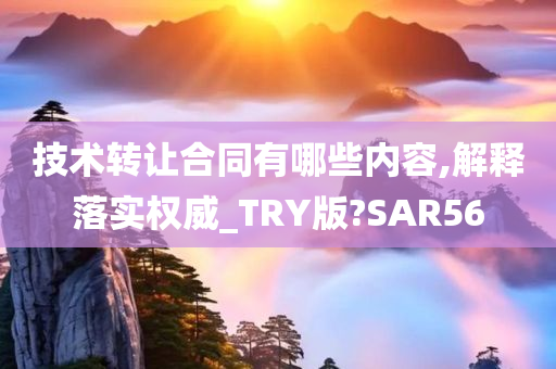 技术转让合同有哪些内容,解释落实权威_TRY版?SAR56