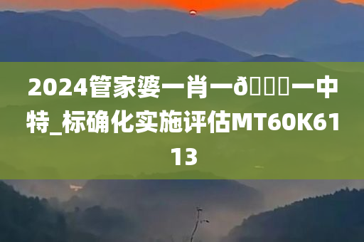 2024管家婆一肖一??一中特_标确化实施评估MT60K6113