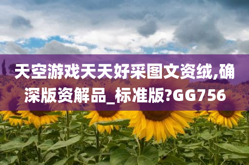 天空游戏天天好采图文资绒,确深版资解品_标准版?GG756