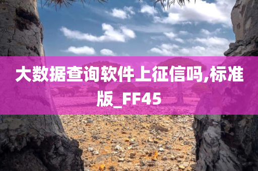 大数据查询软件上征信吗,标准版_FF45