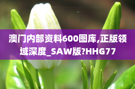 澳门内部资料600图库,正版领域深度_SAW版?HHG77