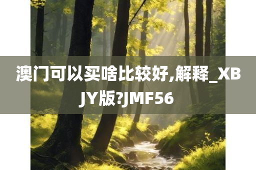 澳门可以买啥比较好,解释_XBJY版?JMF56