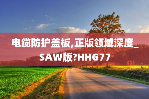 电缆防护盖板,正版领域深度_SAW版?HHG77