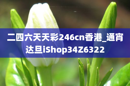 二四六天天彩246cn香港_通宵达旦iShop34Z6322