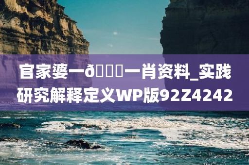 官家婆一??一肖资料_实践研究解释定义WP版92Z4242