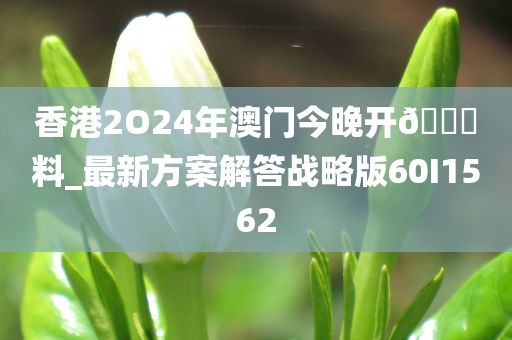 香港2O24年澳门今晚开??料_最新方案解答战略版60I1562