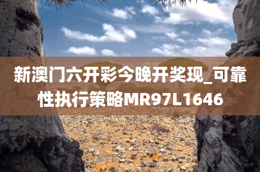 新澳门六开彩今晚开奖现_可靠性执行策略MR97L1646