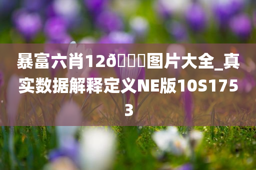 暴富六肖12??图片大全_真实数据解释定义NE版10S1753