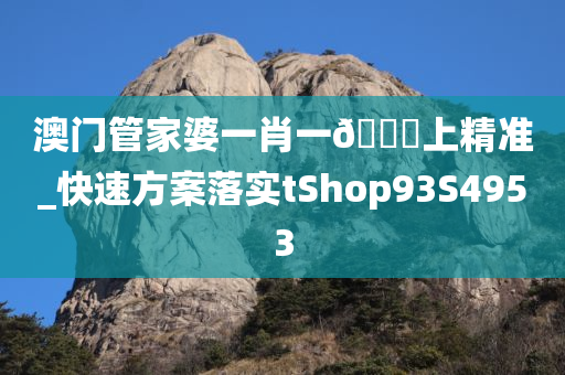 澳门管家婆一肖一??上精准_快速方案落实tShop93S4953