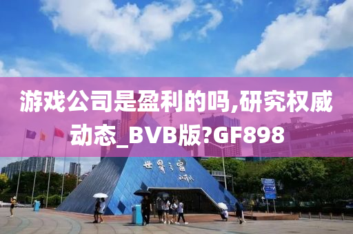 游戏公司是盈利的吗,研究权威动态_BVB版?GF898