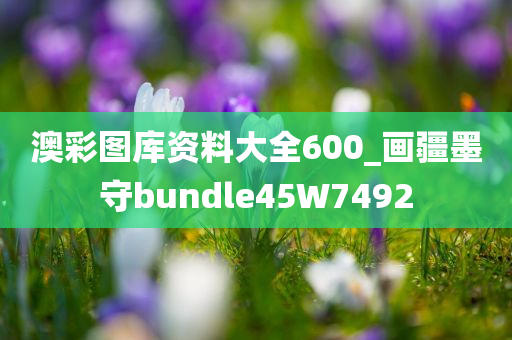 澳彩图库资料大全600_画疆墨守bundle45W7492