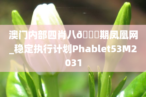 澳门内部四肖八??期凤凰网_稳定执行计划Phablet53M2031