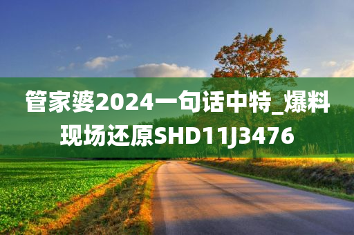 管家婆2024一句话中特_爆料现场还原SHD11J3476