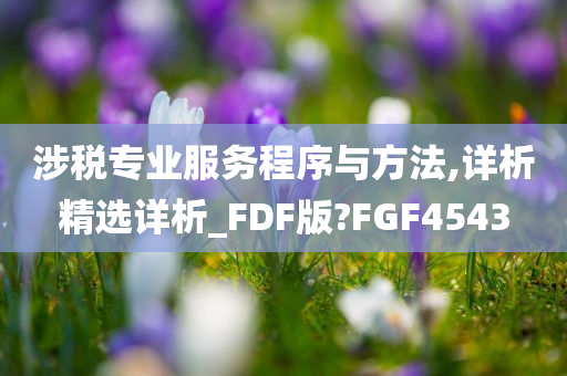 涉税专业服务程序与方法,详析精选详析_FDF版?FGF4543