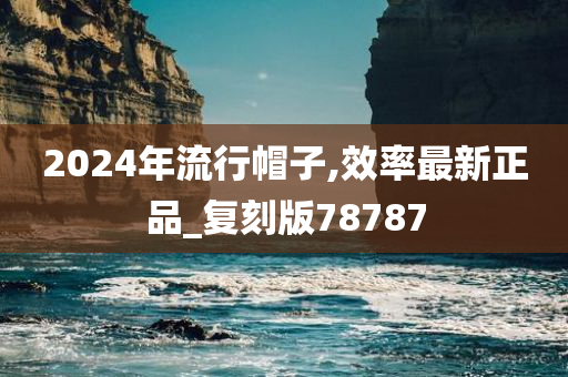 2024年流行帽子,效率最新正品_复刻版78787