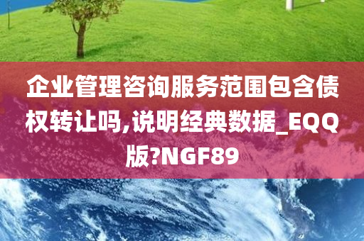 企业管理咨询服务范围包含债权转让吗,说明经典数据_EQQ版?NGF89