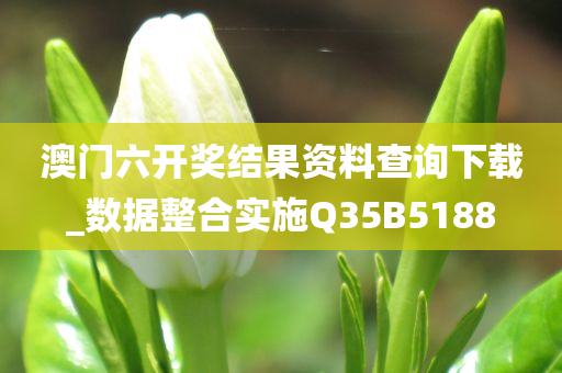 澳门六开奖结果资料查询下载_数据整合实施Q35B5188