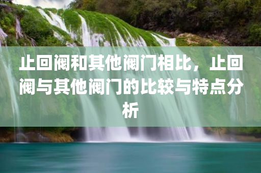 止回阀和其他阀门相比，止回阀与其他阀门的比较与特点分析