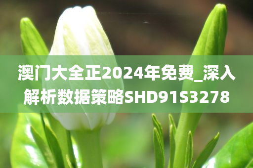 澳门大全正2024年免费_深入解析数据策略SHD91S3278