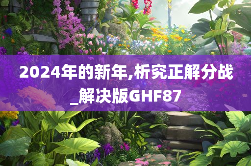 2024年的新年,析究正解分战_解决版GHF87