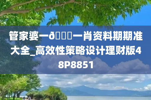 管家婆一??一肖资料期期准大全_高效性策略设计理财版48P8851