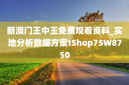 新澳门王中王免费观看资料_实地分析数据方案tShop75W8750