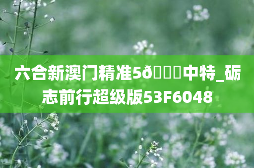 六合新澳门精准5??中特_砺志前行超级版53F6048