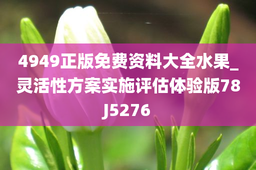 4949正版免费资料大全水果_灵活性方案实施评估体验版78J5276