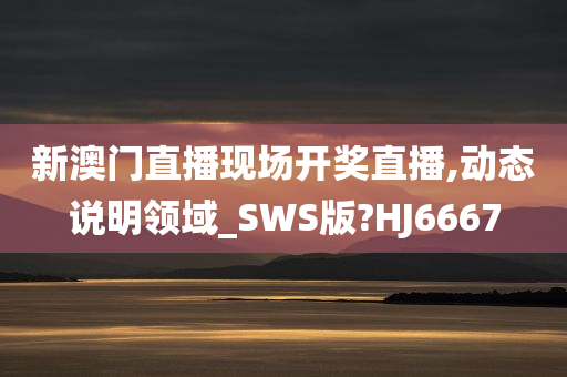 新澳门直播现场开奖直播,动态说明领域_SWS版?HJ6667