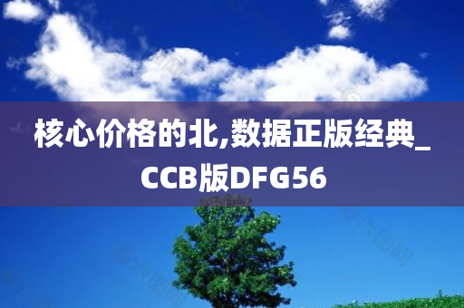 核心价格的北,数据正版经典_CCB版DFG56