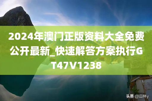 2024年澳门正版资料大全免费公开最新_快速解答方案执行GT47V1238