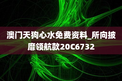 澳门天狗心水免费资料_所向披靡领航款20C6732