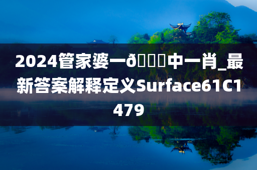 2024管家婆一??中一肖_最新答案解释定义Surface61C1479