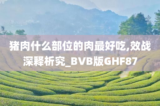 猪肉什么部位的肉最好吃,效战深释析究_BVB版GHF87