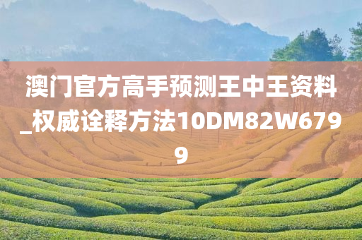 澳门官方高手预测王中王资料_权威诠释方法10DM82W6799