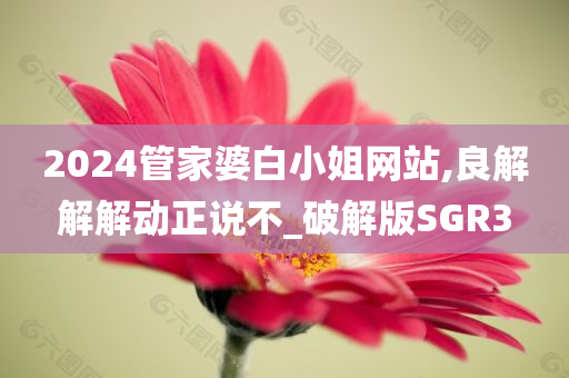 2024管家婆白小姐网站,良解解解动正说不_破解版SGR3