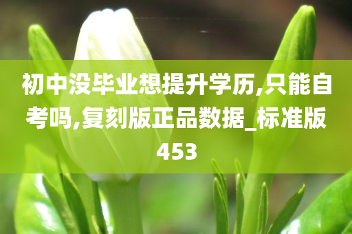 初中没毕业想提升学历,只能自考吗,复刻版正品数据_标准版453