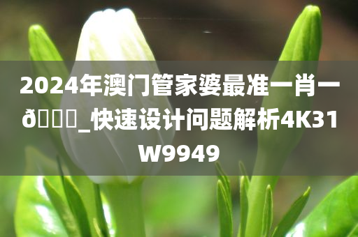 2024年澳门管家婆最准一肖一??_快速设计问题解析4K31W9949