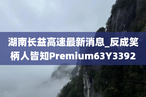 湖南长益高速最新消息_反成笑柄人皆知Premium63Y3392