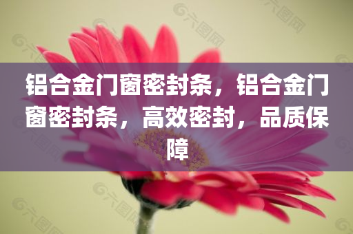 铝合金门窗密封条，铝合金门窗密封条，高效密封，品质保障