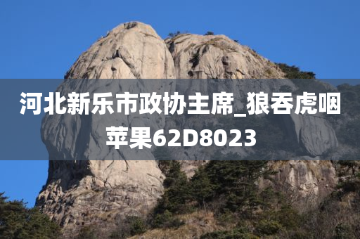 河北新乐市政协主席_狼吞虎咽苹果62D8023