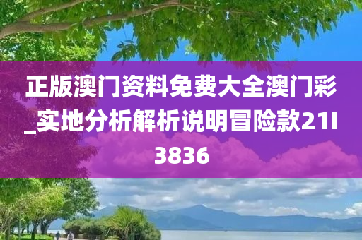 正版澳门资料免费大全澳门彩_实地分析解析说明冒险款21I3836