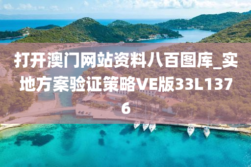 打开澳门网站资料八百图库_实地方案验证策略VE版33L1376