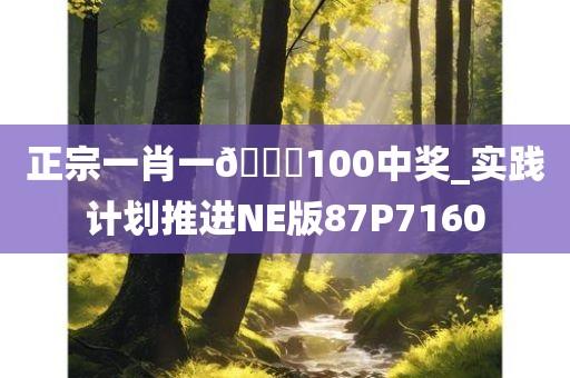 正宗一肖一??100中奖_实践计划推进NE版87P7160