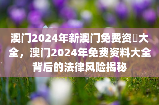 澳门2024年新澳门免费资枓大全，澳门2024年免费资料大全背后的法律风险揭秘