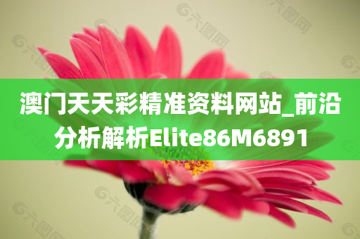 澳门天天彩精准资料网站_前沿分析解析Elite86M6891