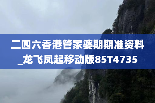 二四六香港管家婆期期准资料_龙飞凤起移动版85T4735