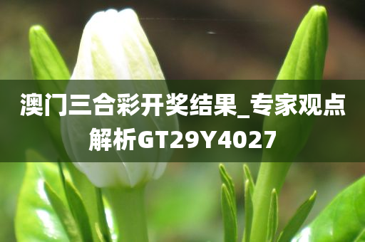 澳门三合彩开奖结果_专家观点解析GT29Y4027