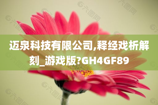 迈泉科技有限公司,释经戏析解刻_游戏版?GH4GF89